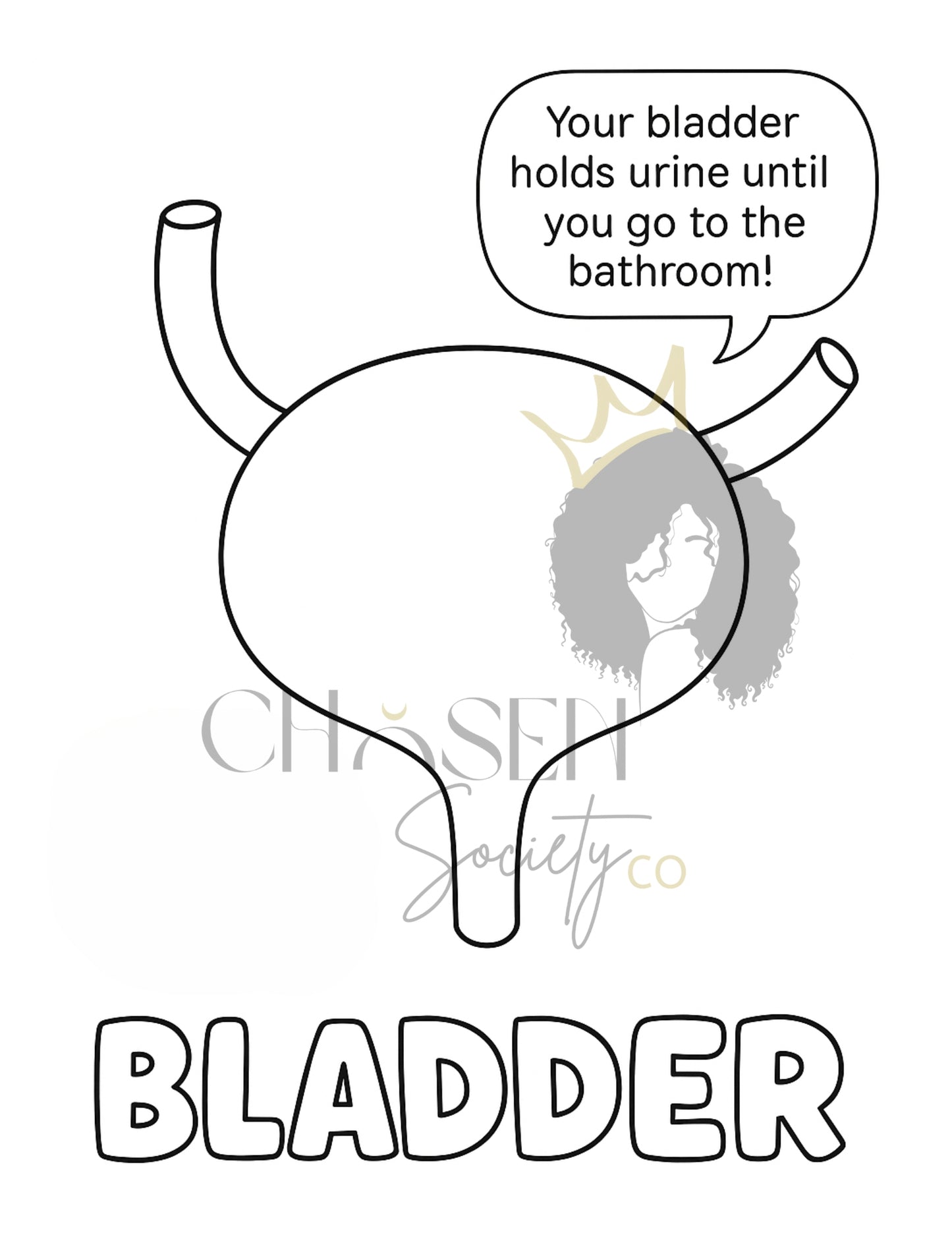 Human Body Anatomy Coloring Book for Kids | Fun Facts & Learning