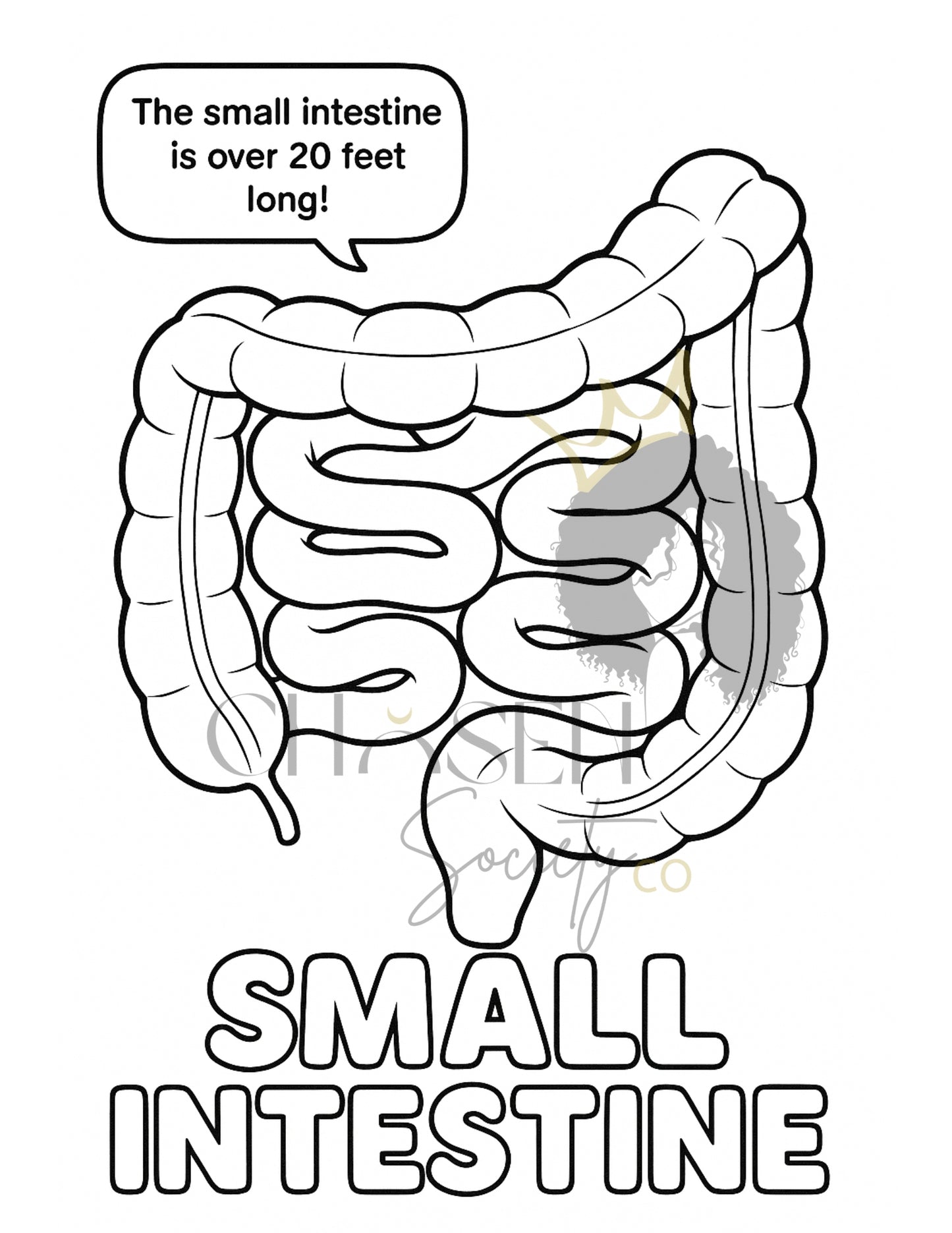 Human Body Anatomy Coloring Book for Kids | Fun Facts & Learning