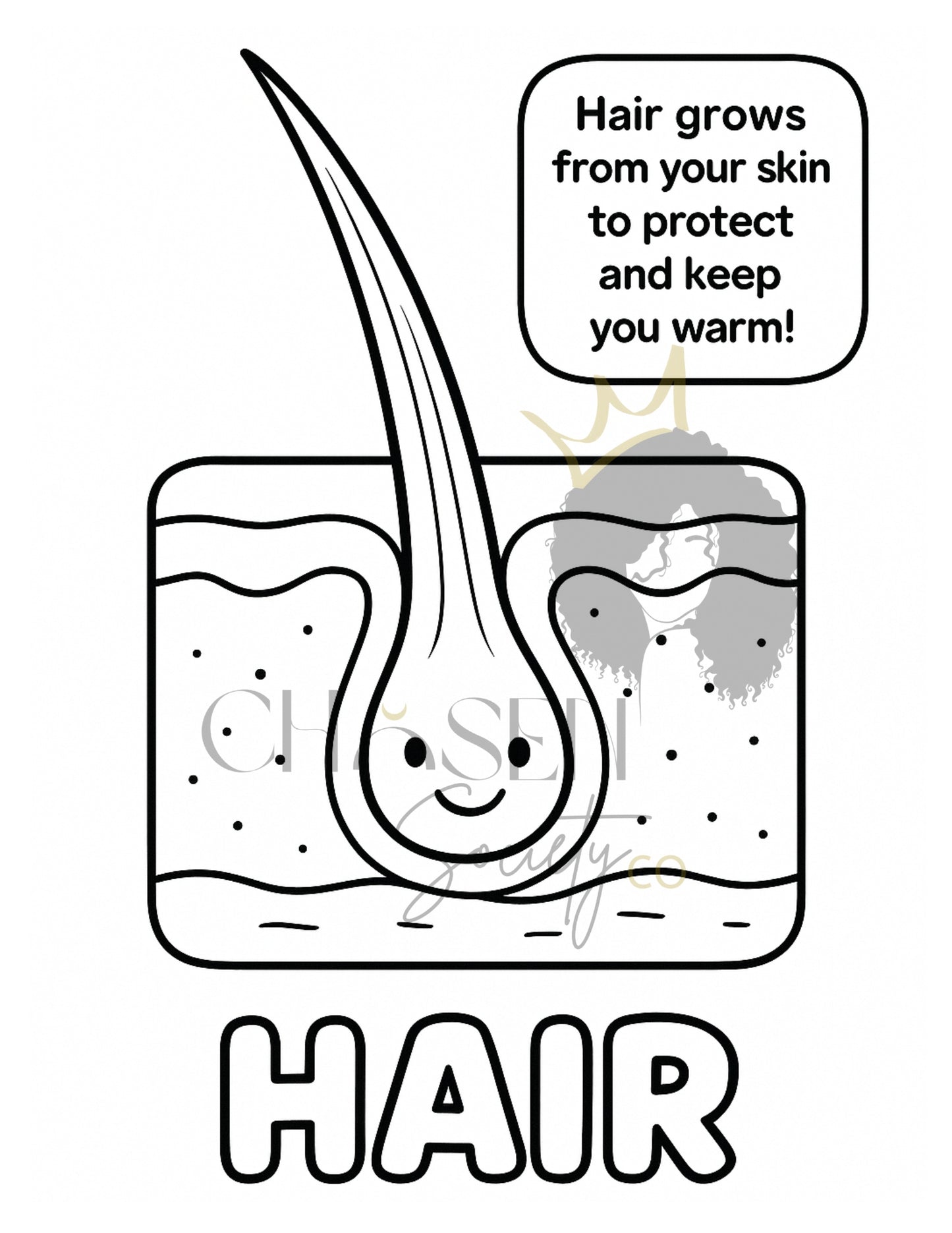 Human Body Anatomy Coloring Book for Kids | Fun Facts & Learning