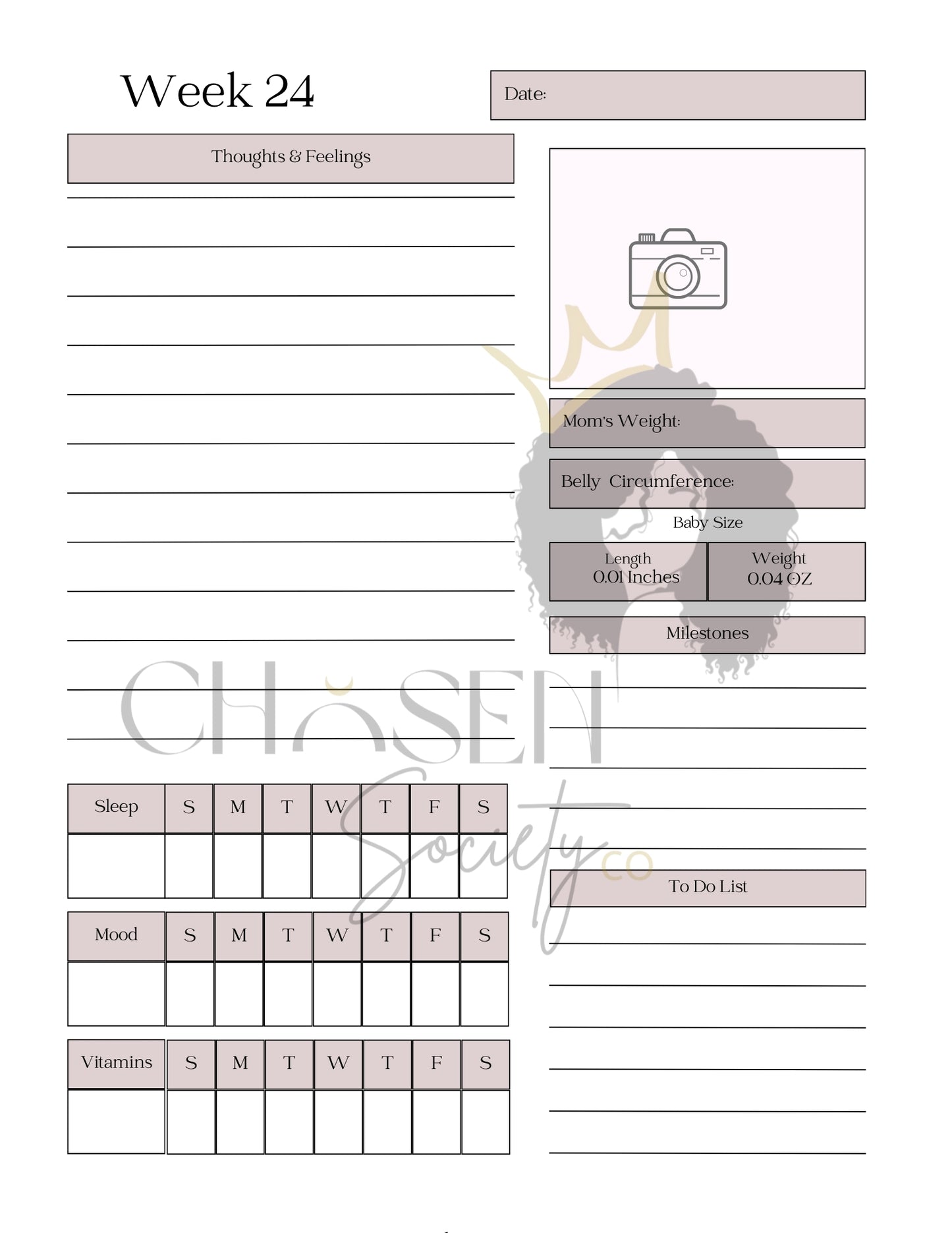 My Pregnancy PLR Bundle – Pregnancy Coloring Book, Journal & Baby Memory Book (Canva Templates)