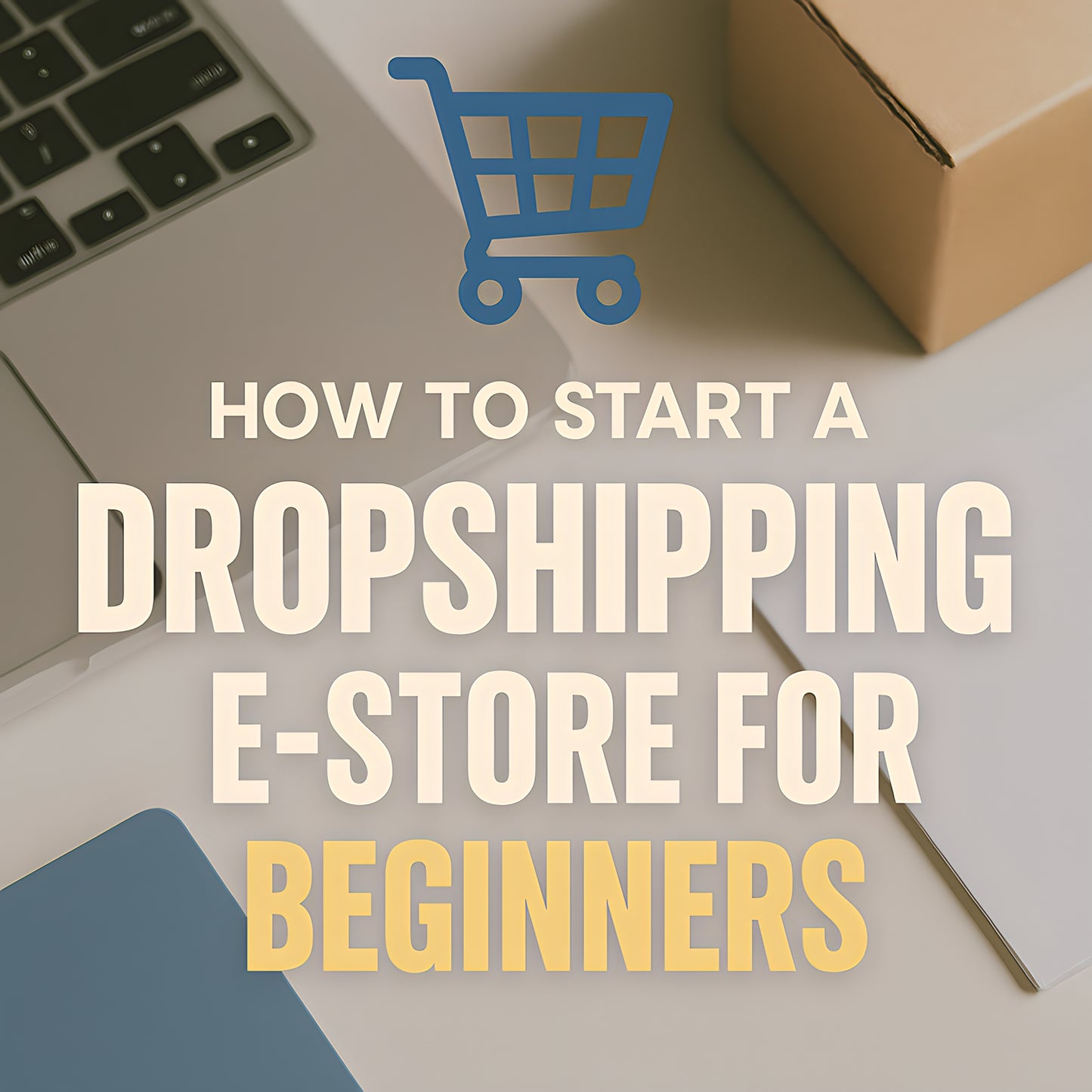 How to Start a Dropshipping E-Store for Beginners (Vendors Included)