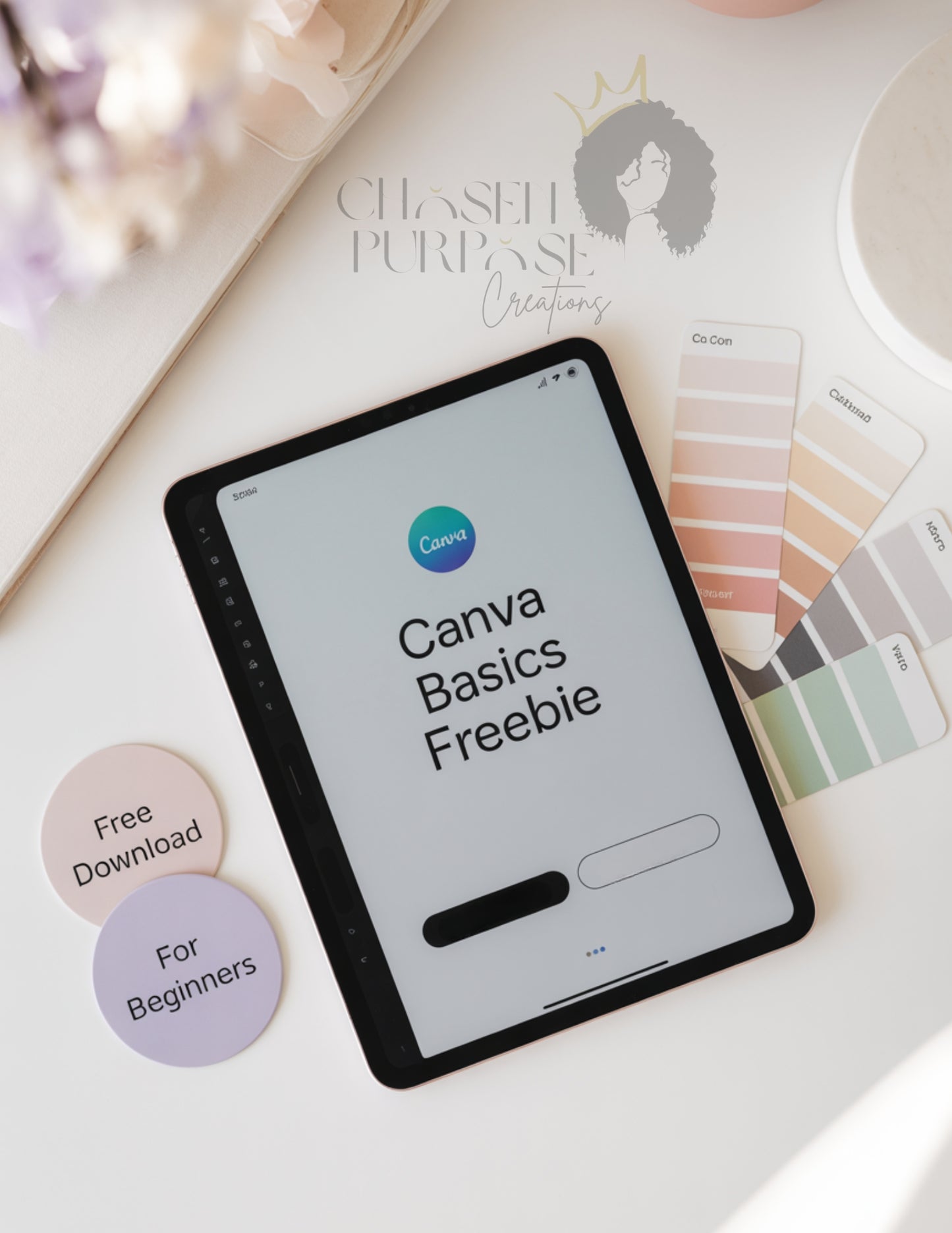 Canva Basics Freebie – Beginner Design Guide Using the Classic Canva Dashboard
